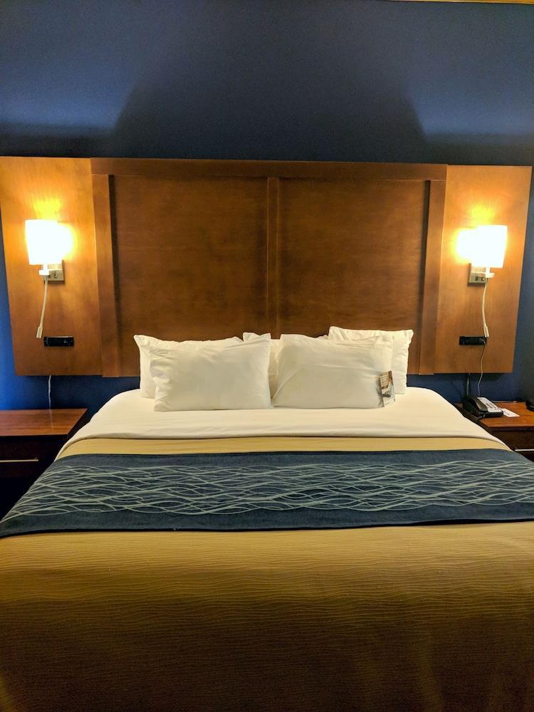 Comfort Inn & Suites Statesboro - University Area Bagian luar foto